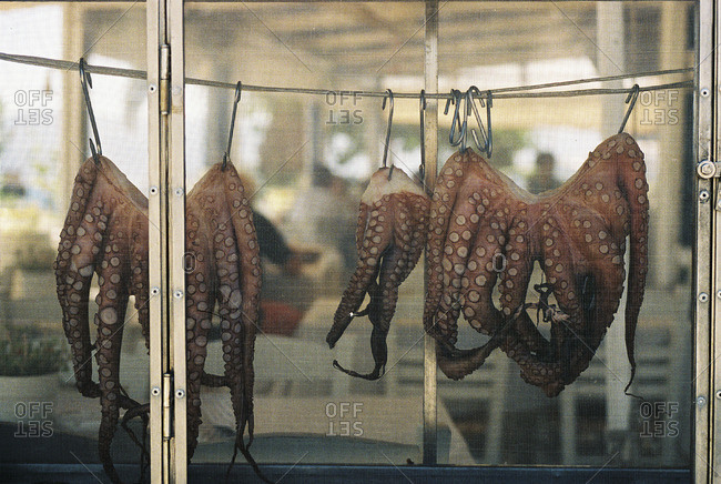 Octopus, Milos Island, Greece
