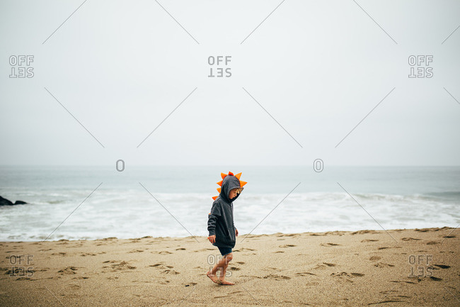 Boy in dinosaur hoodie walking on the sand