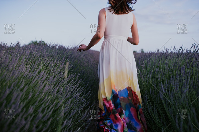 Back view of woman in dress walking through lavender field