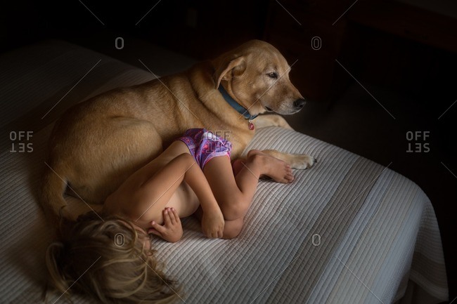 Elevated view of child curled up on bed next to dog