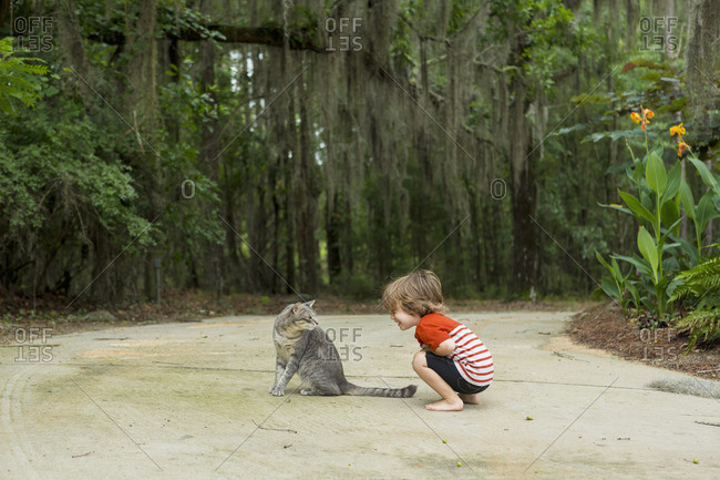 Boy crouching down looking at angry cat