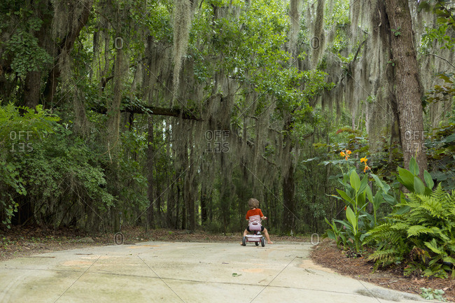Boy riding tricycle down a tree lined driveway