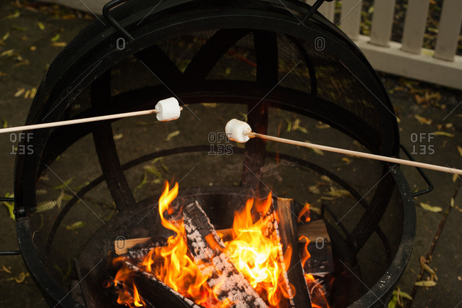 Marshmallows on sticks over fire