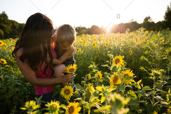 Mom and boy picking sunflower