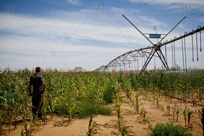 A man inspects irrigation machinery in Egypt\'s Western Desert