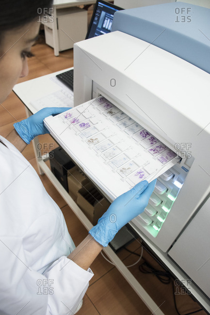 Laboratory technician in analytical laboratory putting object plates in cytology reader