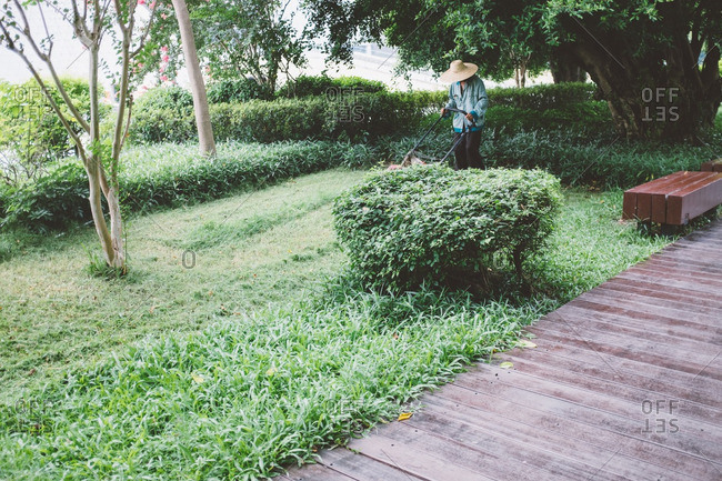 Worker cutting grass in garden using electric lawn mower in Guangzhou, China.