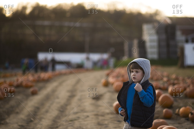 Boy standing in a pumpkin patch on a late autumn afternoon