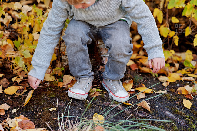 Boy reaching down to pick up a yellow leaf