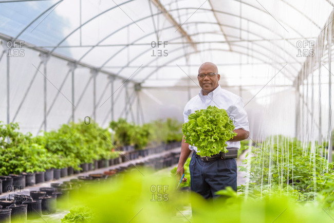 Portrait of manager in Hydroponic farm in Nevis, West Indies