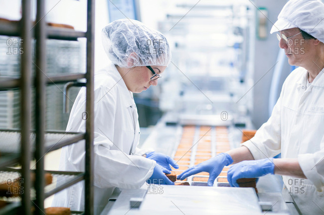 Factory workers on food production line