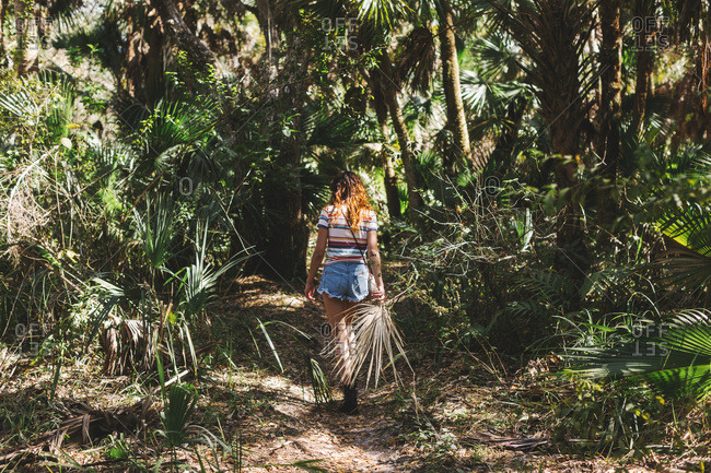 Woman exploring forest, Bonita Springs, Florida