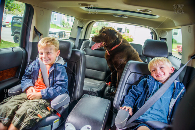 Twin brothers sitting in back of vehicle, mischievous expressions, pet dog sitting behind