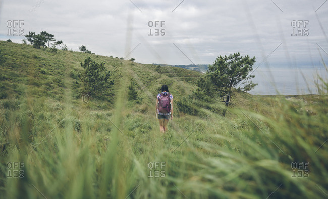 Spain, Asturias, back view of woman with backpack hiking on green hills