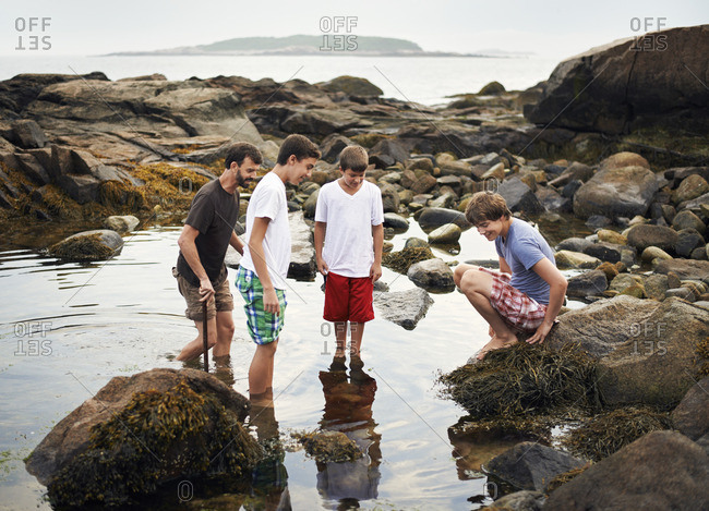 A small group of people standing in shallow water, rock pooling, finding marine life on the beach