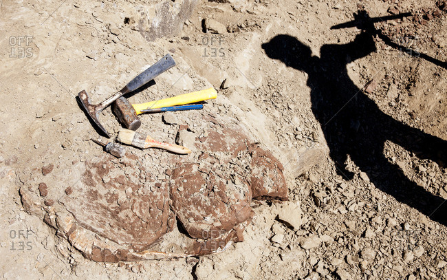 Shadow of a paleontologist cast over the fossil being excavated in Utah\'s Kaiparowits Plateau