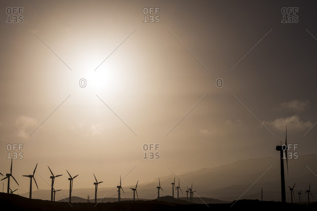 Spain, Tenerife, wind turbines at backlight