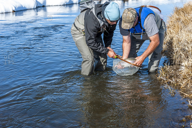 Two Fishermen Netting A Rainbow Fish On The Upper Owens River