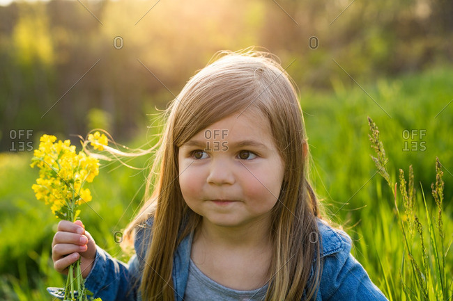 Close up of a little girl holding yellow flowers at sunset