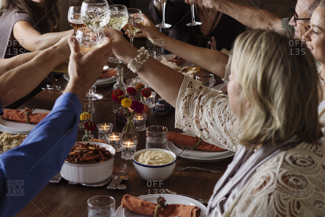 Family toasting with wine at a Thanksgiving dinner