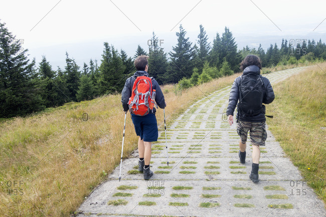 Germany, Harz, Brocken, back view of two friends hiking