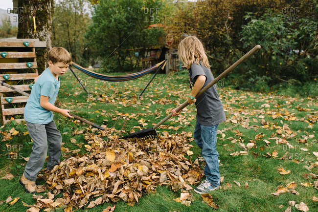 Two boys raking pile of leaves in backyard