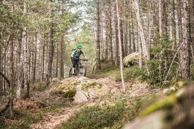 Woman mountain biking in forest, Bozen, South Tyrol, Italy