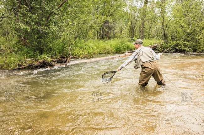 Rear view of man knee deep in river wearing waders using fishing net in river