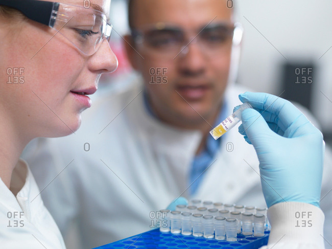 Scientists preparing to analyse samples from clinical trial, Jenner Institute, Oxford University