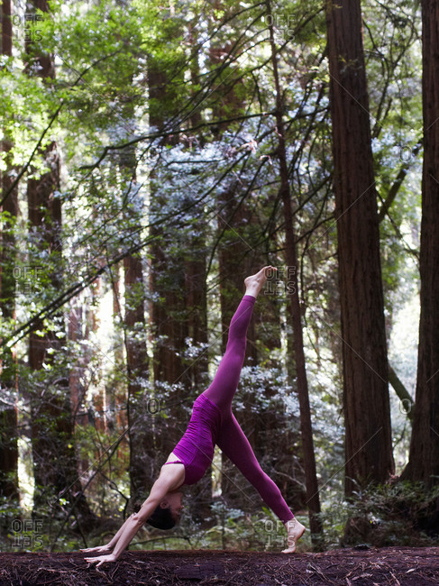Mid adult woman doing yoga in forest, in down dog split pose