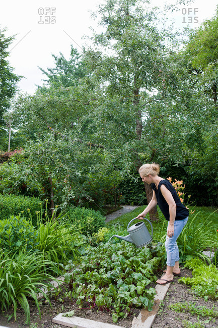 Woman watering plants in backyard