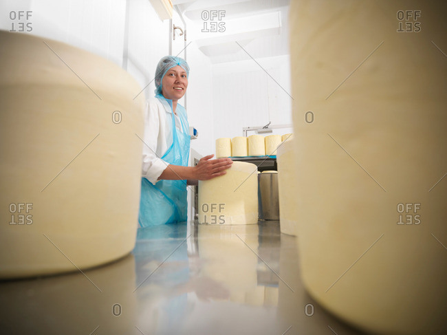 Worker wrapping round cheeses in cheese-making factory