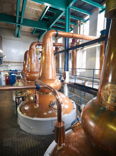 Whisky stills in a distillery