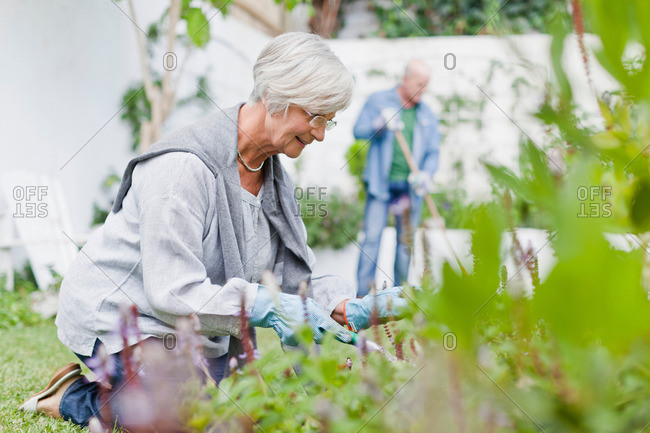Older couple gardening in backyard