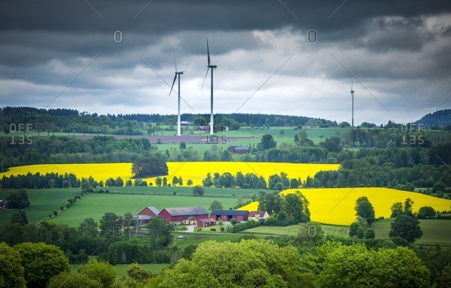 Rural scene with wind turbines