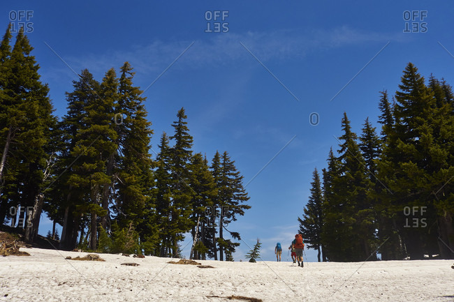 Backpackers cross some late season snow at Mt Hood Meadows while hiking the Timberline Trail