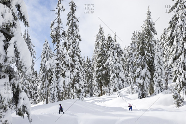 Snowshoers on montain at Mount Seymour Provincial Park in North Vancouver British Columbia Canada
