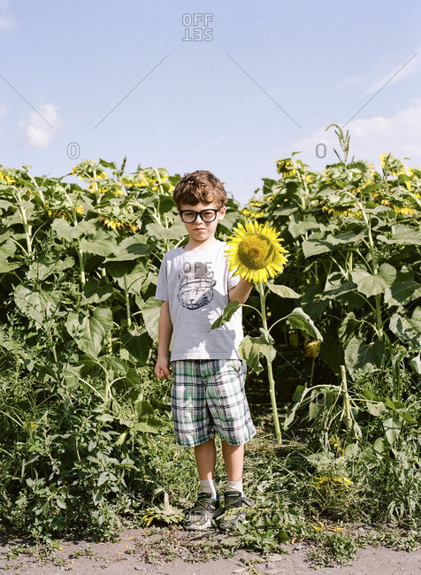 Boy standing by a sunflower