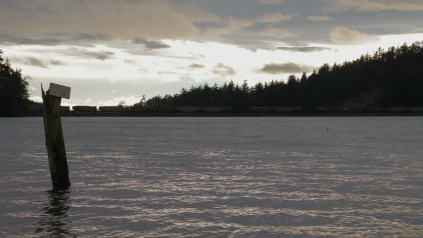 A flock of ducks fly in front a stationary freight train, in a scenic Washington State location.