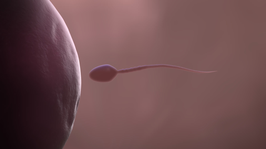 Ethical decesions selling sperm and eggs