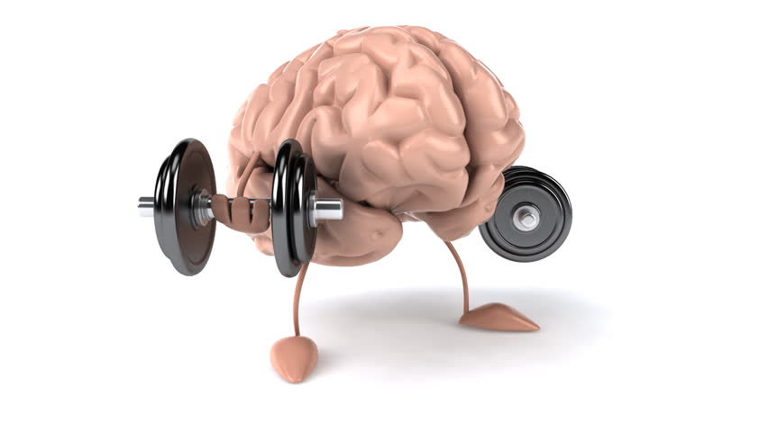 Мастурбатор В Виде Мозга