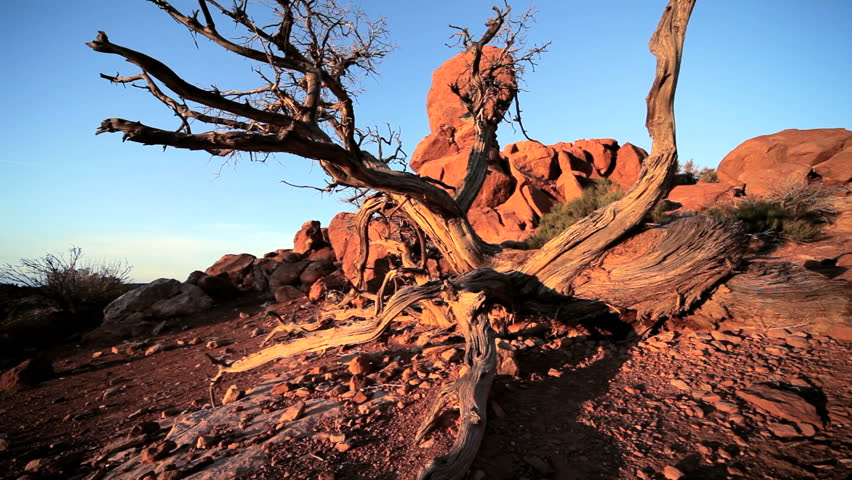 Red sandstone rock formations sculptured by nature in an arid  desert environment 