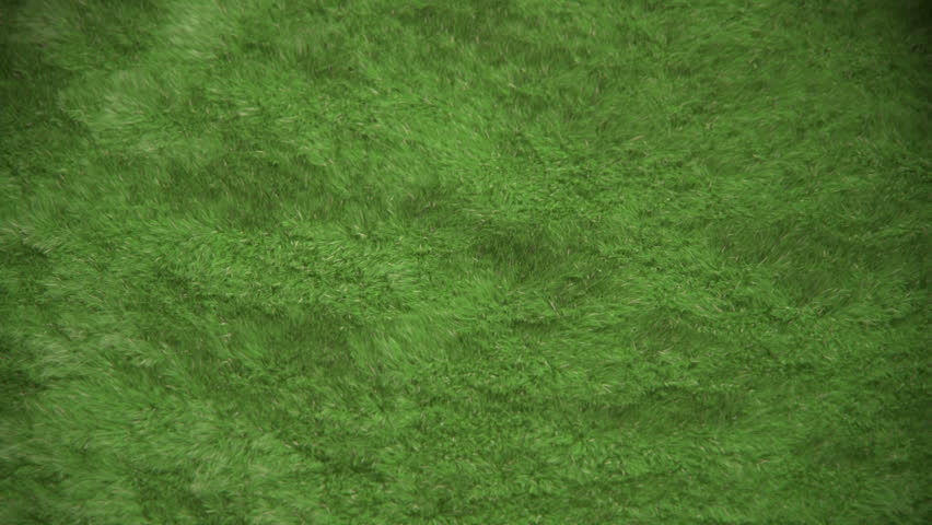 "green" word created by growing grass moving in subtle wind, rendered with Extreme Details for FulHD