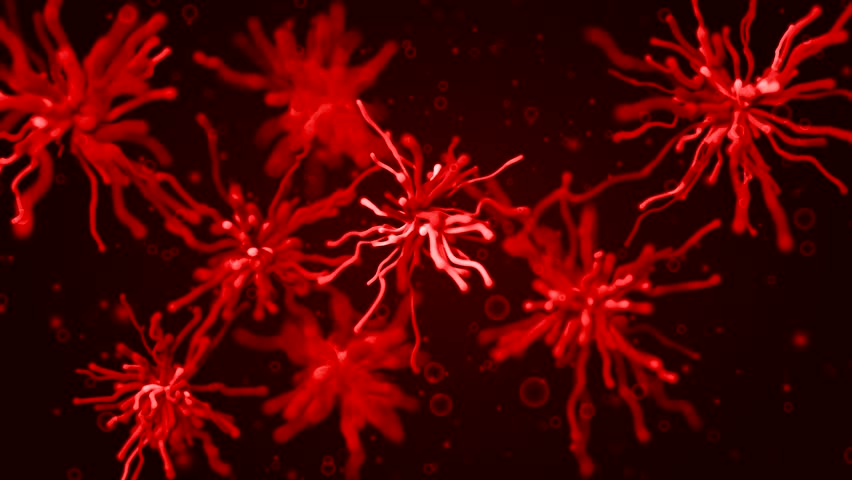 Organic alien life abstract with microscopic microorganisms in looping clip
