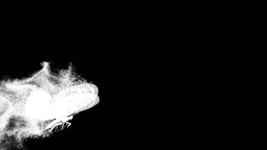 Header of ornament