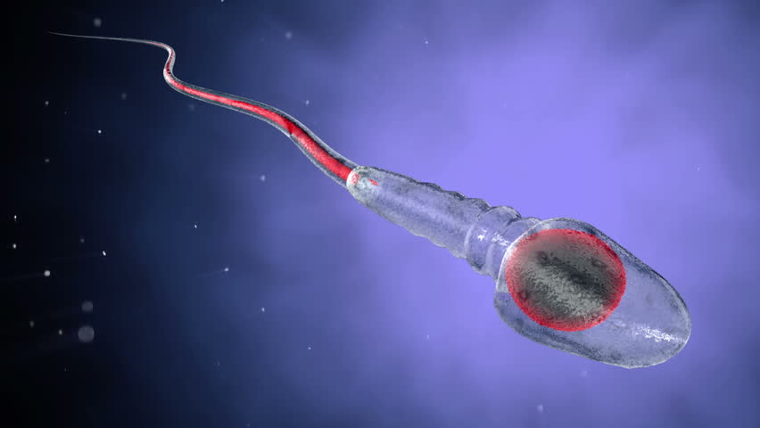 Sperm to float a battleship