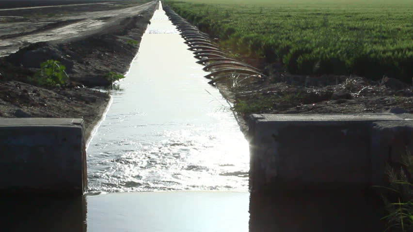 Water canal, glistening in late afternoon sun, feeds irrigation lines that nourish fresh, green farm crops. 1080p