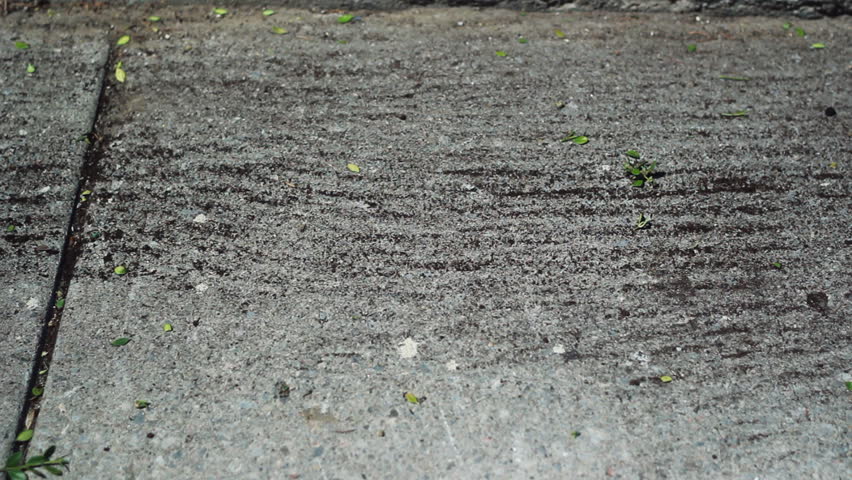 Yardwork. Brushing. Brushing soil and cuttings off a driveway. 