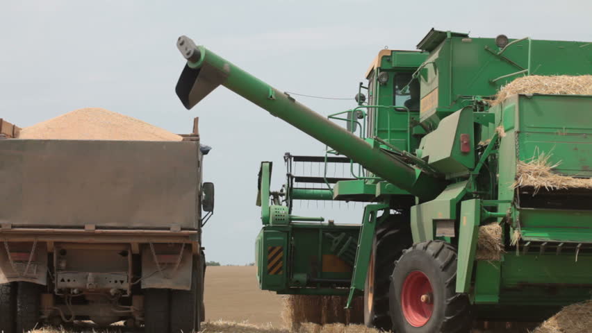 Transferring Wheat from Field to Truck