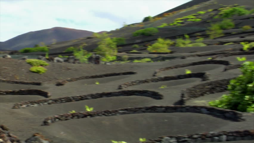 volcanic wine growing region